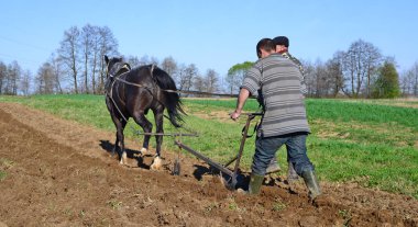 Kalush, Ukraine - April 24: Fallowing of a spring field by a manual plow on horse-drawn near the town Kalush, Western Ukraine April 24, 2015
