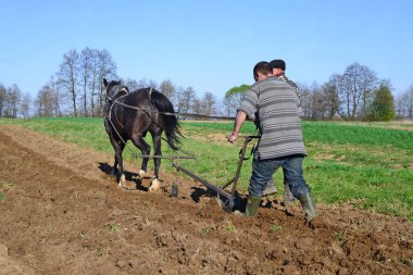 Kalush, Ukraine - April 24: Fallowing of a spring field by a manual plow on horse-drawn near the town Kalush, Western Ukraine April 24, 2015