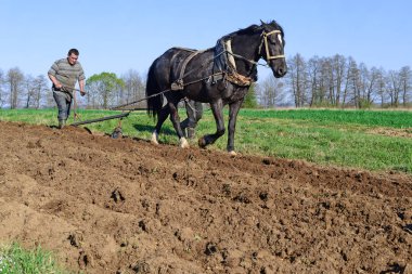 Kalush, Ukraine - April 24: Fallowing of a spring field by a manual plow on horse-drawn near the town Kalush, Western Ukraine April 24, 2015