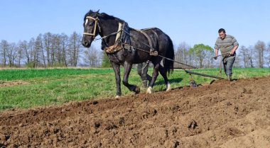 Kalush, Ukraine - April 24: Fallowing of a spring field by a manual plow on horse-drawn near the town Kalush, Western Ukraine April 24, 2015
