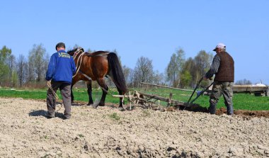 Kalush, Ukraine - April 24: Fallowing of a spring field by a manual plow on horse-drawn near the town Kalush, Western Ukraine April 24, 2015