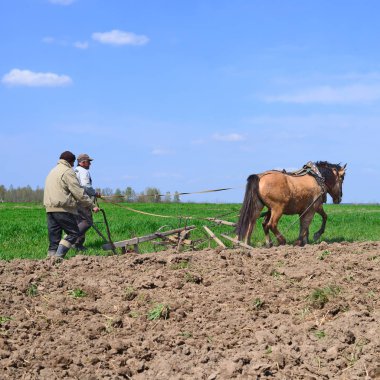 Kalush, Ukrayna - 24 Nisan 2015: 24 Nisan 2015 tarihinde Batı Ukrayna 'nın Kalush kenti yakınlarındaki bir at sürücüsü tarafından elle sürülen bir bahar tarlası