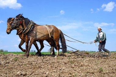 Kalush, Ukrayna - 24 Nisan 2015: 24 Nisan 2015 tarihinde Batı Ukrayna 'nın Kalush kenti yakınlarındaki bir at sürücüsü tarafından elle sürülen bir bahar tarlası