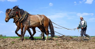 Kalush, Ukrayna - 24 Nisan 2015: 24 Nisan 2015 tarihinde Batı Ukrayna 'nın Kalush kenti yakınlarındaki bir at sürücüsü tarafından elle sürülen bir bahar tarlası
