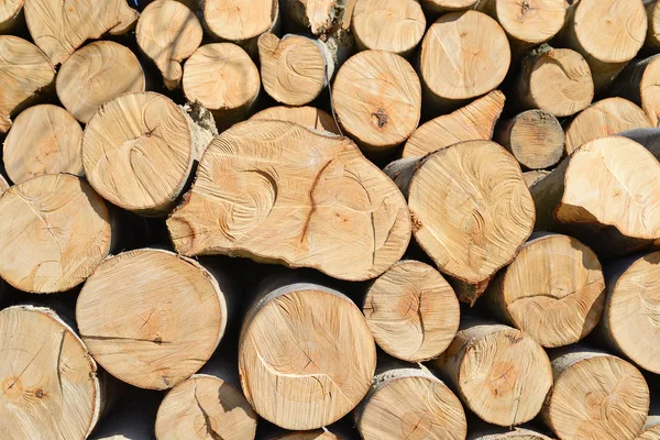 Stapel Von Holzstämmen Holz Hintergrund — Stockfoto