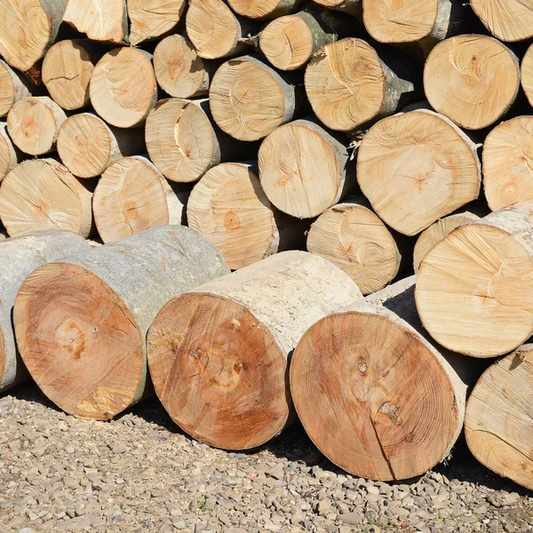 Pile Wood Logs Timber Background — Stock Photo, Image