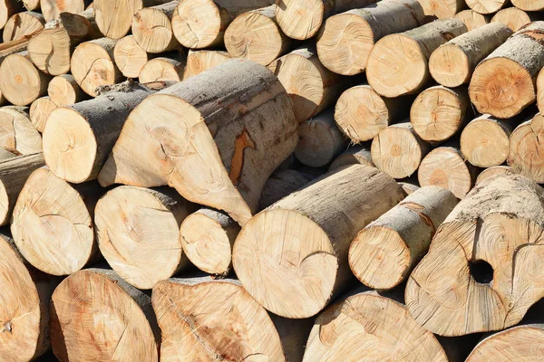 Hromada Dřeva Klády Dřevo Pozadí — Stock fotografie
