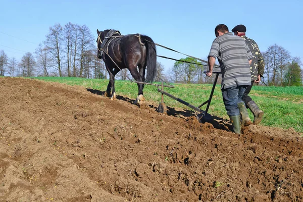 Kalush Ukraine April Fallowing Spring Field Manual Plow Horse Drawn — Stockfoto