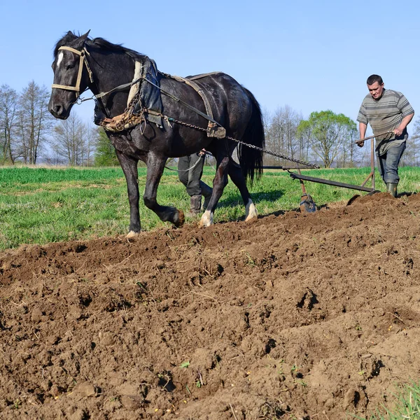 Kalush Ukraine April Fallowing Spring Field Manual Plow Horse Drawn — Stockfoto