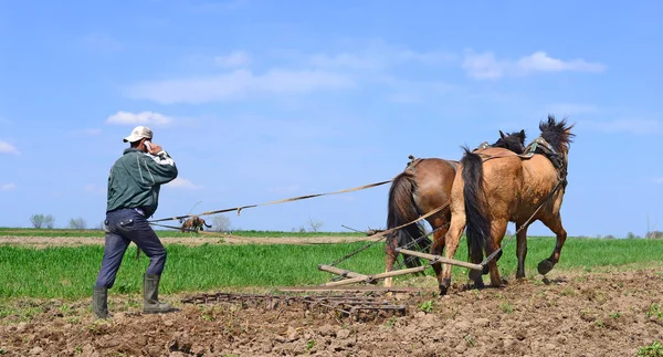 Kalush Ukraine April Fallowing Spring Field Manual Plow Horse Drawn — Stock Photo, Image