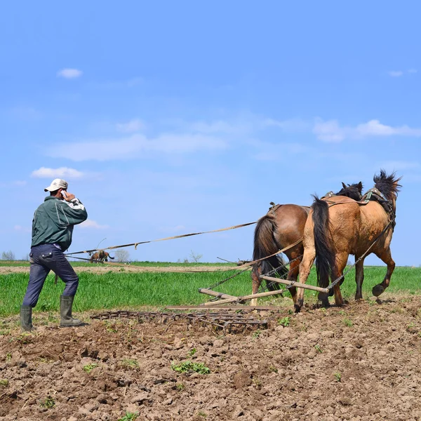 Kalush Ukraine April Fallowing Spring Field Manual Plow Horse Drawn — 스톡 사진