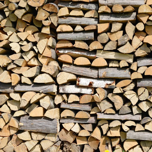 Holzstapel Gestapelt — Stockfoto