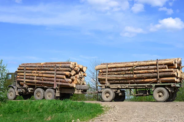 Stacks Wood Logs Truck — стоковое фото