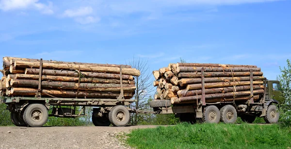 Stapels Houtblokken Vrachtwagen — Stockfoto