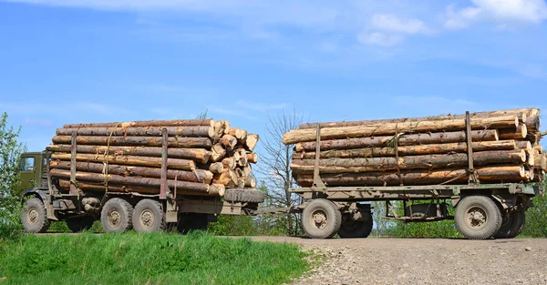 Stacks Wood Logs Truck — 图库照片