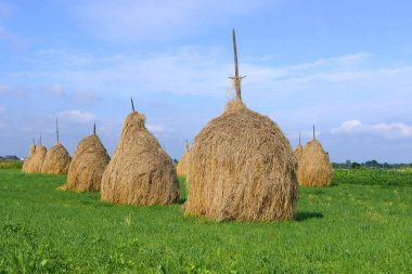 yığın yaz kırsal manzara içinde saman