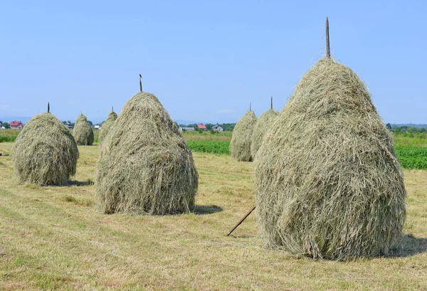 Heno Las Pilas Paisaje Veraniego Rural —  Fotos de Stock