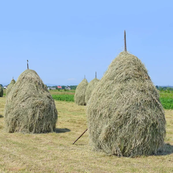 Heno Las Pilas Paisaje Veraniego Rural —  Fotos de Stock