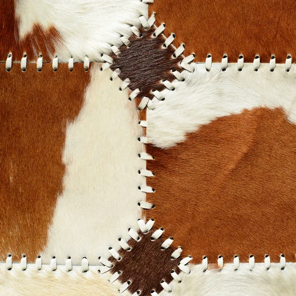 Detail Cow Skin Rug — Stock Photo, Image