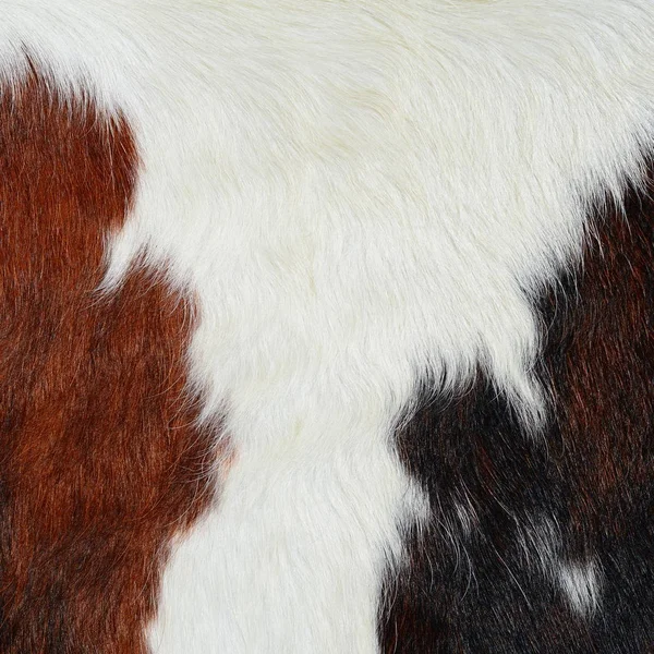 Natural Cow Fur Texture Closeup — Stock fotografie