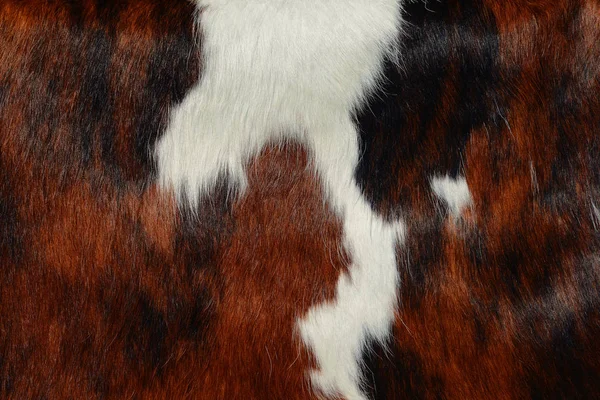 Natural Cow Fur Texture Closeup — 스톡 사진