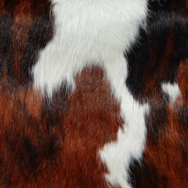 Natural Cow Fur Texture Closeup — Stock Photo, Image