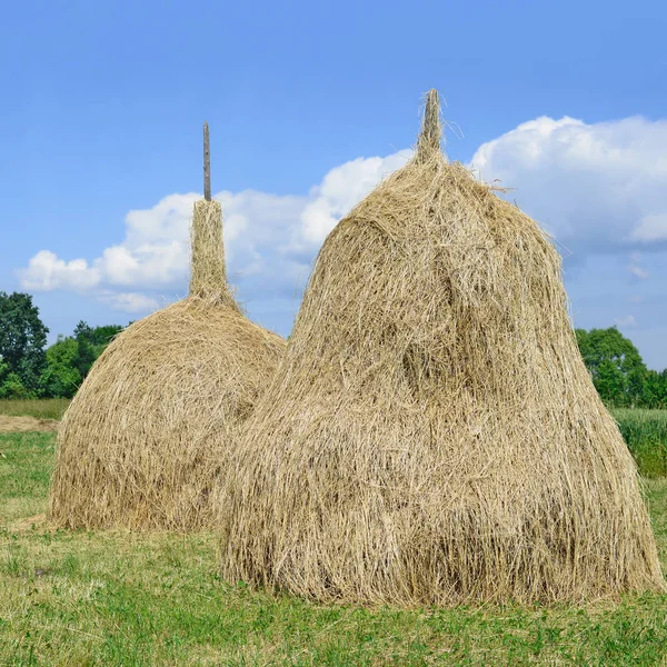 Heu Stapelweise Einer Ländlichen Sommerlandschaft — Stockfoto