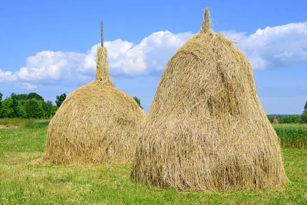 Hay Stapels Een Landelijke Landschap Van Zomer — Stockfoto