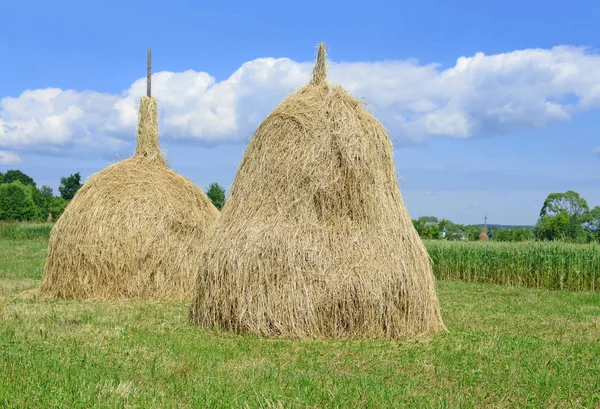 Hay Stapels Een Landelijke Landschap Van Zomer — Stockfoto