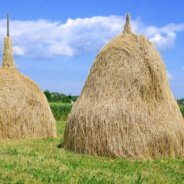 Hay Stacks Summer Rural Landscape — Stock Photo, Image