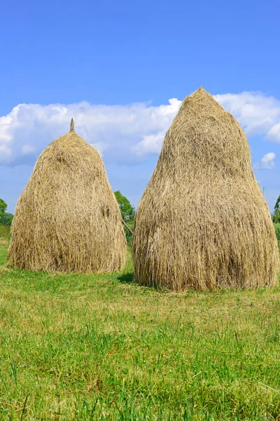 Hay Stapels Een Landelijke Landschap Van Zomer — Stockfoto