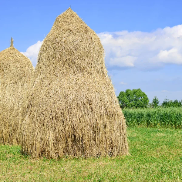 Heu Stapelweise Einer Ländlichen Sommerlandschaft — Stockfoto