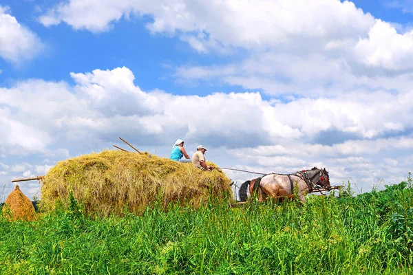 Kalush Ukraine July 2015 Transportation Hay Cart Field Town Kalush — Fotografia de Stock