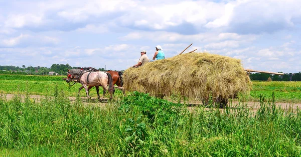 Kalush Ukraine July 2015 Transportation Hay Cart Field Town Kalush — Zdjęcie stockowe