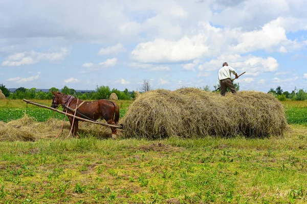 Kalush Ukraine July 2017 Transportation Hay Cart Field Town Kalush — Stock Photo, Image