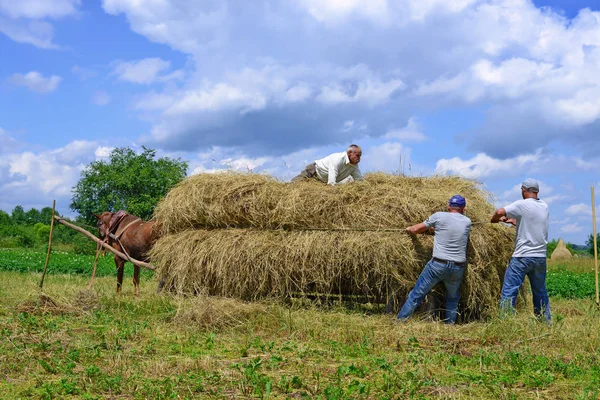 Kalush Ucrânia Julho 2017 Transporte Feno Por Uma Carroça Campo — Fotografia de Stock