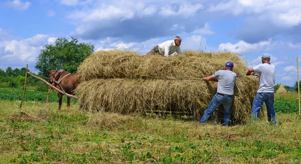 Kalush Ucrânia Julho 2017 Transporte Feno Por Uma Carroça Campo — Fotografia de Stock