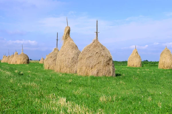 Foin Meules Dans Paysage Rural Estival — Photo