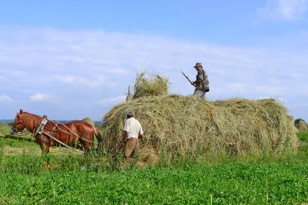 Kalush Ukraine July 2017 Transportation Hay Cart Field Town Kalush — Stock Photo, Image