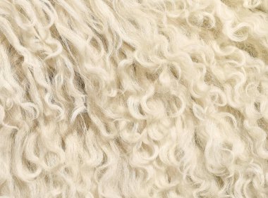 bir koyun mamul deri