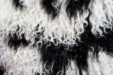 bir koyun mamul deri