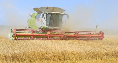 combine harvester working at wheat field, harvesting in the countryside