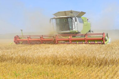 combine harvester working at wheat field, harvesting in the countryside