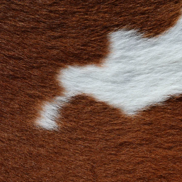 Natural Cow Fur Texture Closeup — Stock Photo, Image