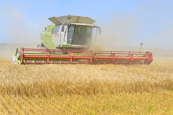 combine harvester working at wheat field, harvesting in the countryside