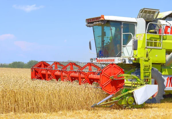 Combine Harvester Working Wheat Field Harvesting Countryside — Foto de Stock