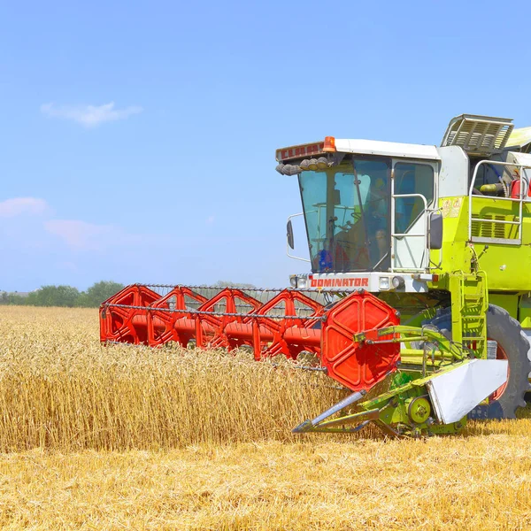 Combine Harvester Working Wheat Field Harvesting Countryside — Stockfoto