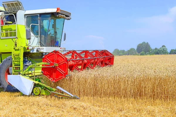 Combine Harvester Working Wheat Field Harvesting Countryside — Foto Stock