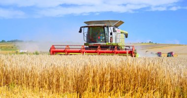 Buğday tarlasında çalışan hasatçıyı birleştirin, kırsal alanda hasat yapın.
