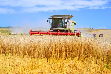Buğday tarlasında çalışan hasatçıyı birleştirin, kırsal alanda hasat yapın.